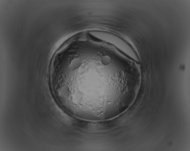 X0000091531379200708311301