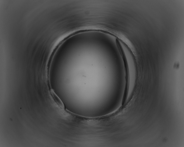 X0000091531380200708311301