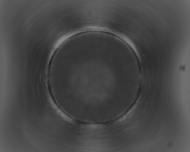 X0000091531381200708311301