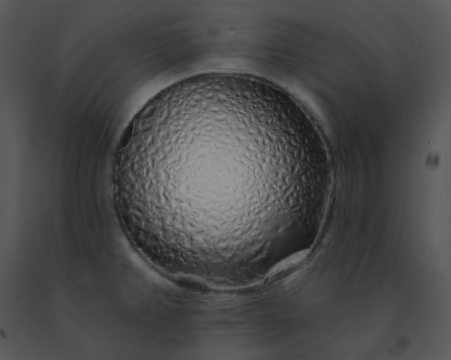 X0000091531382200708311301