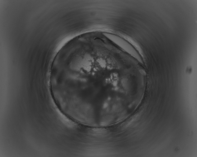 X0000091531383200708311301