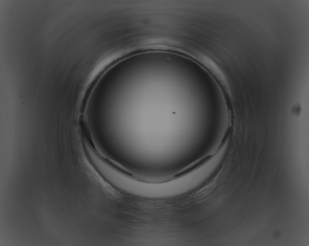 X0000091531384200708311301