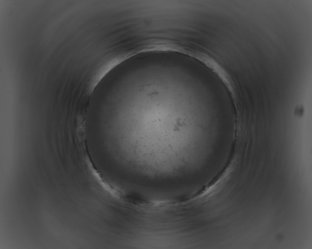 X0000091531385200708311301