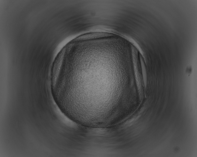 X0000091531387200708311301