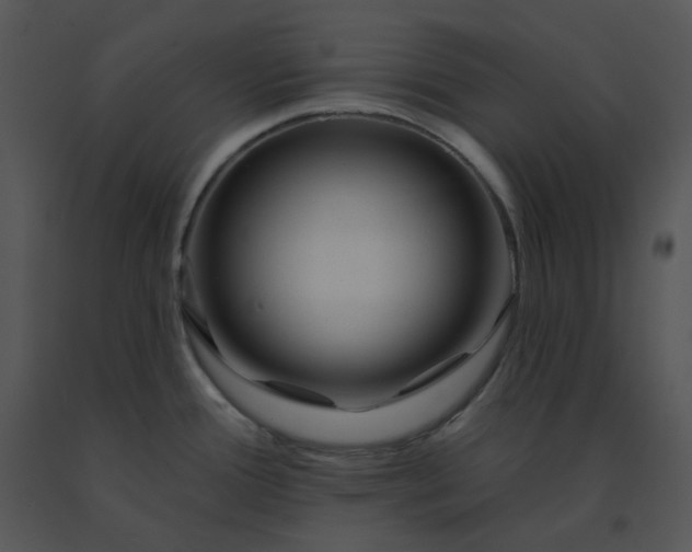 X0000091531388200708311301