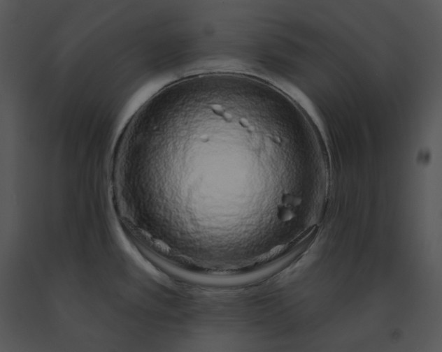 X0000091531389200708311301