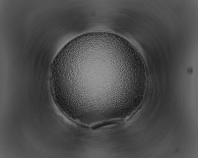 X0000091531390200708311301