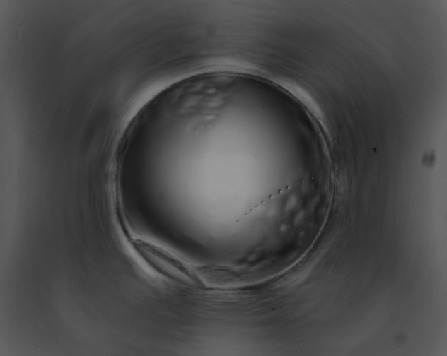 X0000091531391200708311301