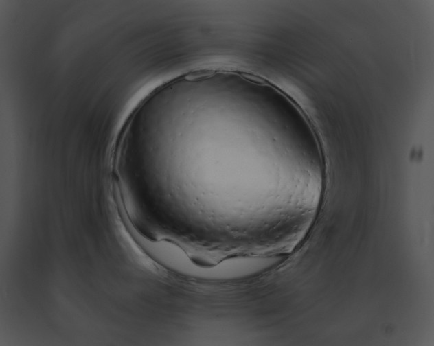 X0000091531392200708311301