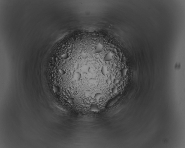 X0000091531393200708311301