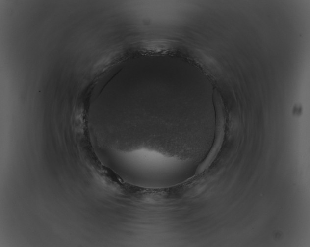 X0000091531394200708311301