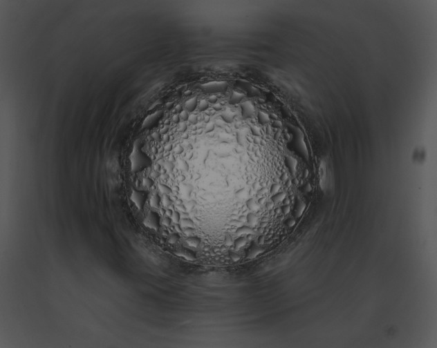 X0000091531395200708311301