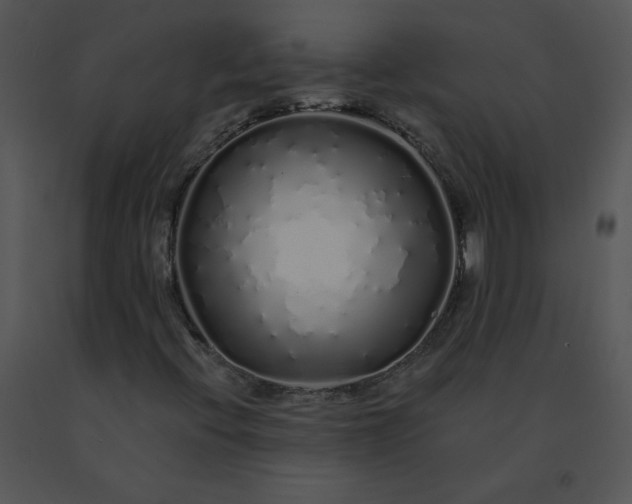 X0000091531396200708311301
