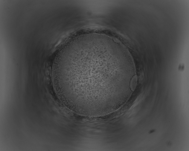 X0000091531397200708311301
