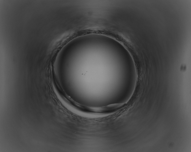X0000091531398200708311301