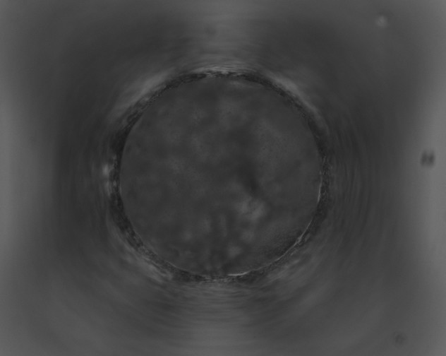 X0000091531399200708311301