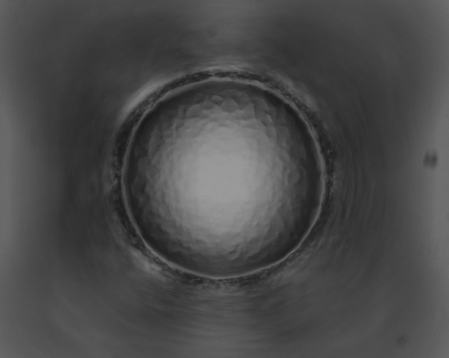 X0000091531400200708311301