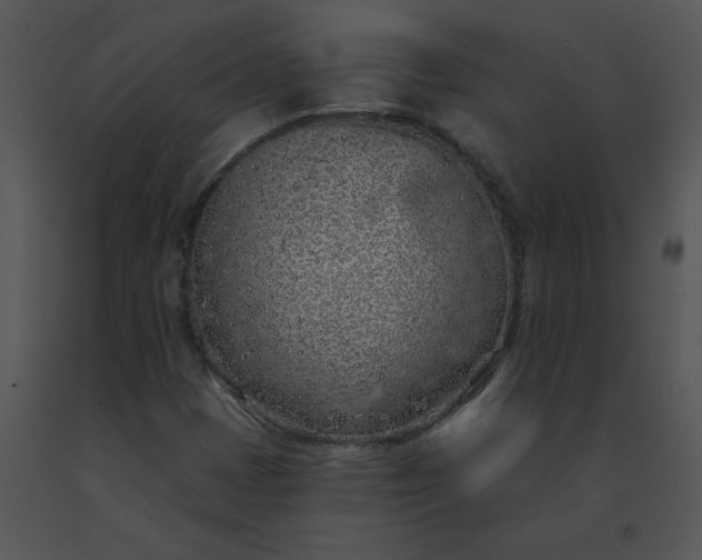 X0000091531401200708311301