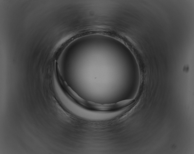 X0000091531402200708311301
