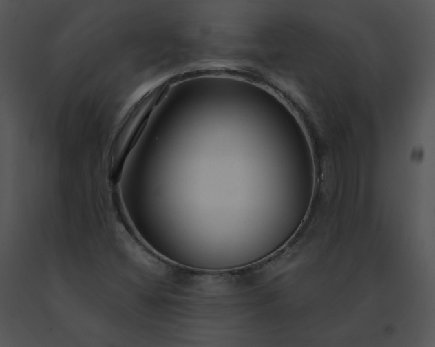 X0000091531404200708311301