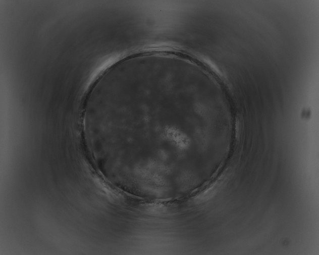 X0000091531405200708311301