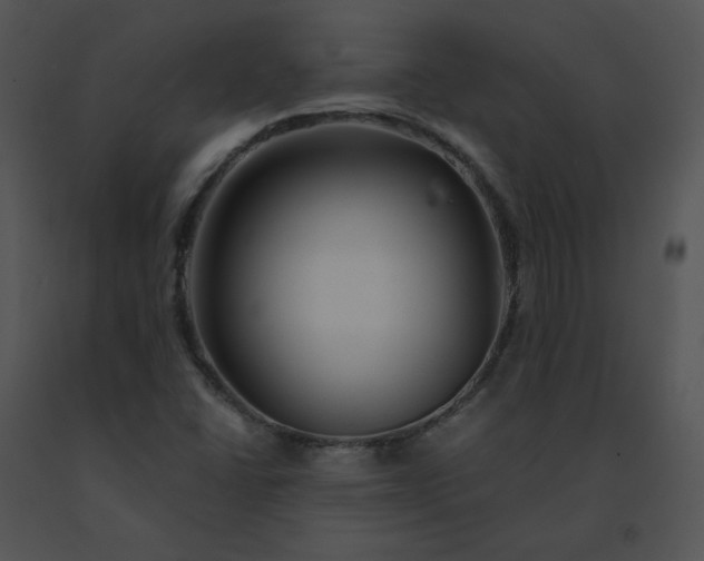 X0000091531406200708311301