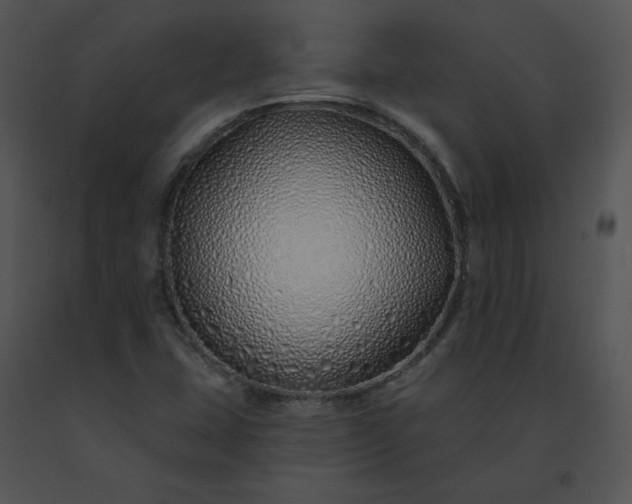 X0000091531407200708311301
