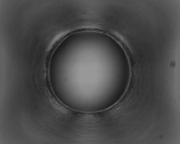 X0000091531408200708311301
