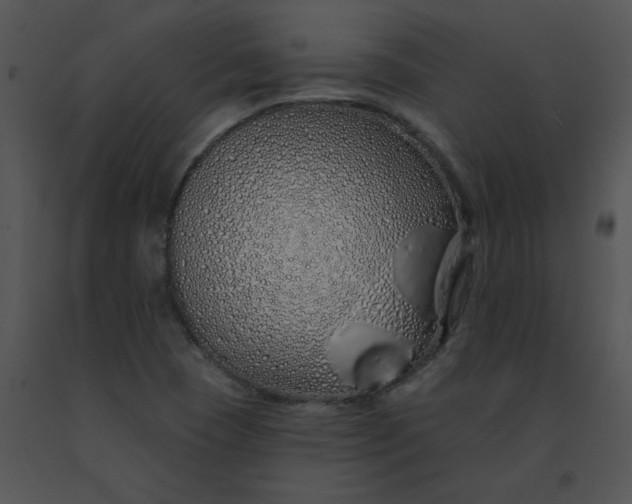 X0000091531409200708311301