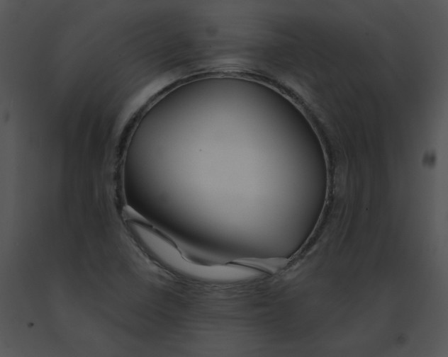 X0000091531410200708311301