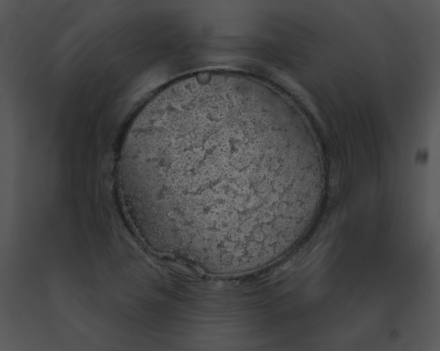 X0000091531411200708311301