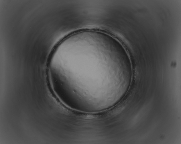 X0000091531412200708311301