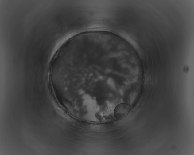X0000091531413200708311301