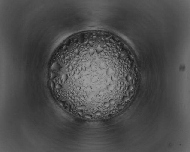 X0000091531415200708311301