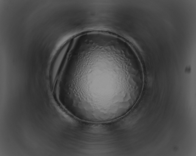 X0000091531416200708311301