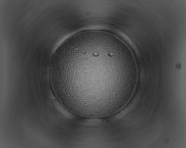 X0000091531417200708311301