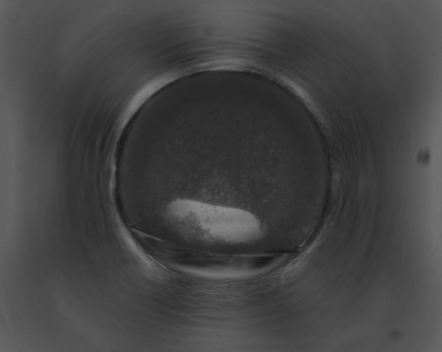 X0000091531418200708311301