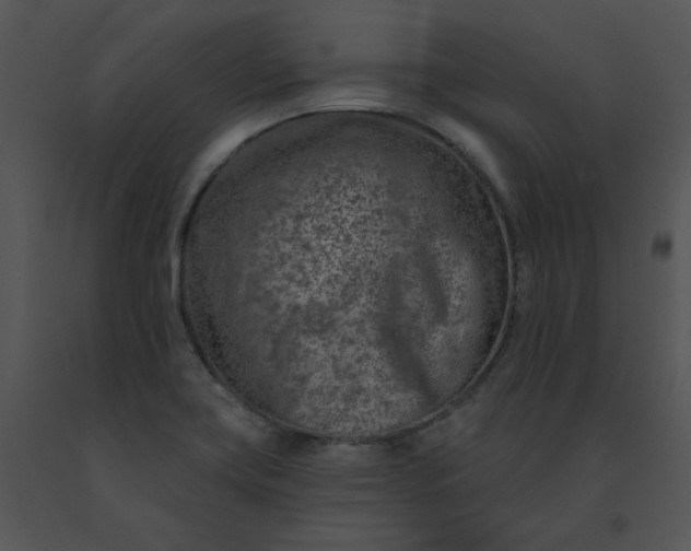 X0000091531419200708311301