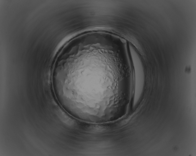 X0000091531420200708311301