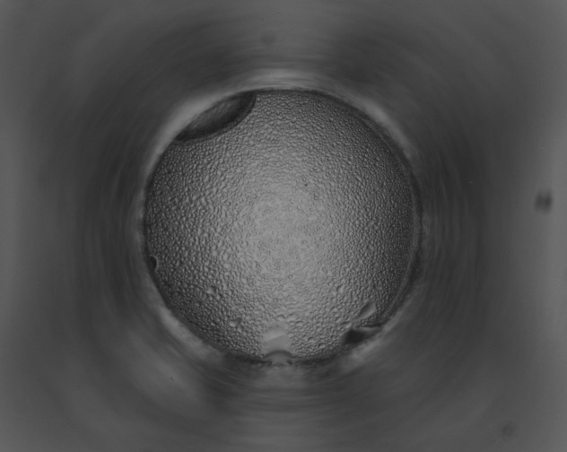 X0000091531421200708311301