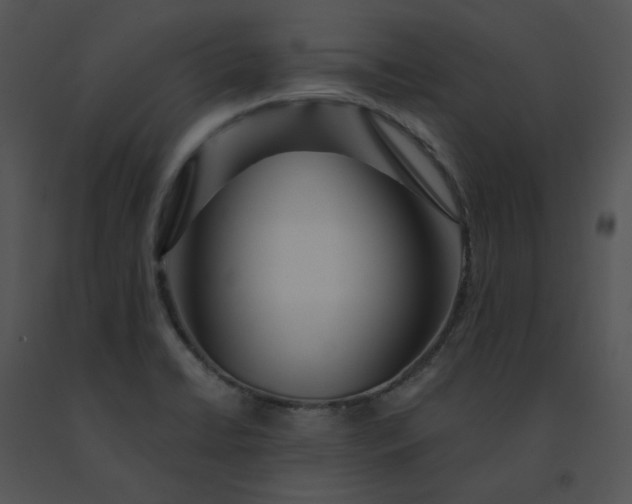 X0000091531422200708311301