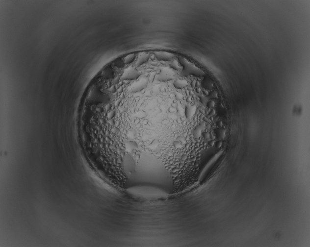 X0000091531423200708311301