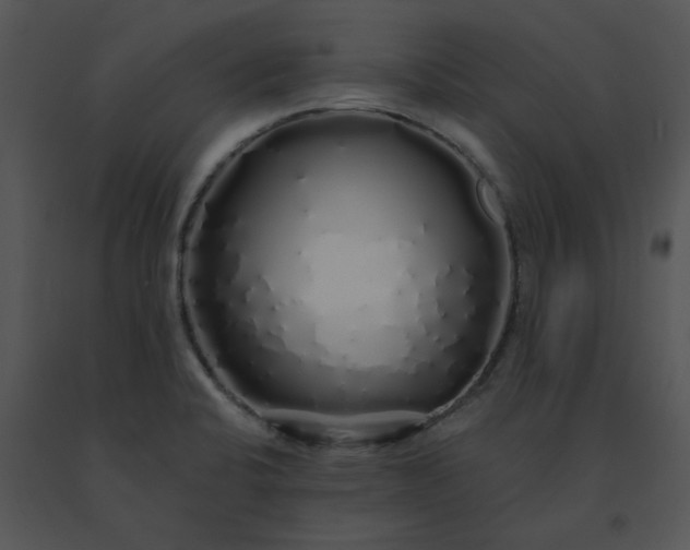 X0000091531424200708311301