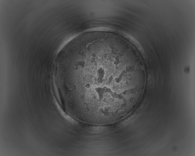 X0000091531425200708311301