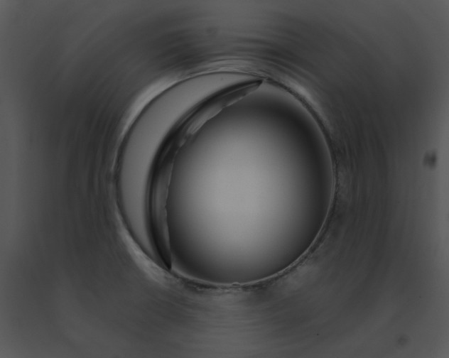 X0000091531426200708311301