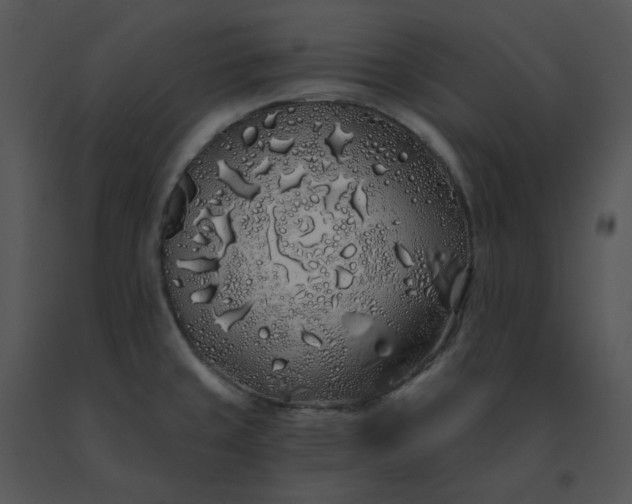 X0000091531429200708311301