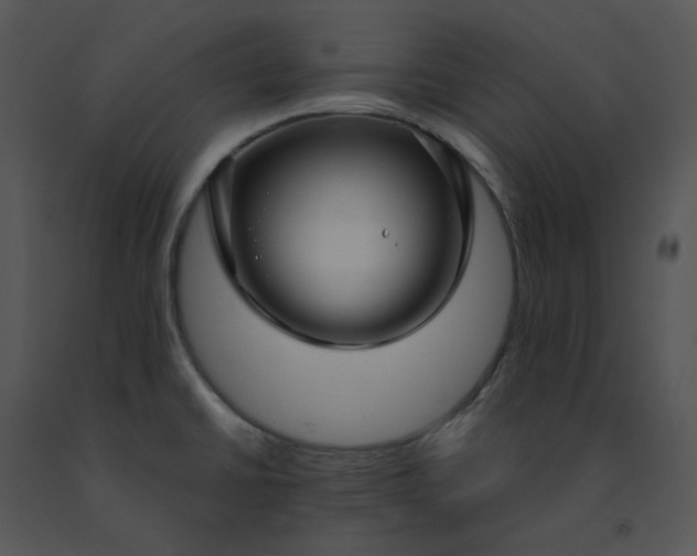 X0000091531430200708311301