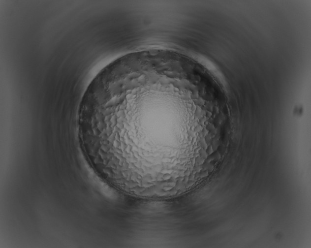 X0000091531431200708311301