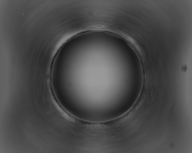 X0000091531432200708311301