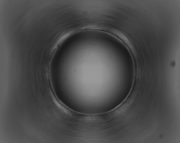 X0000091531433200708311301